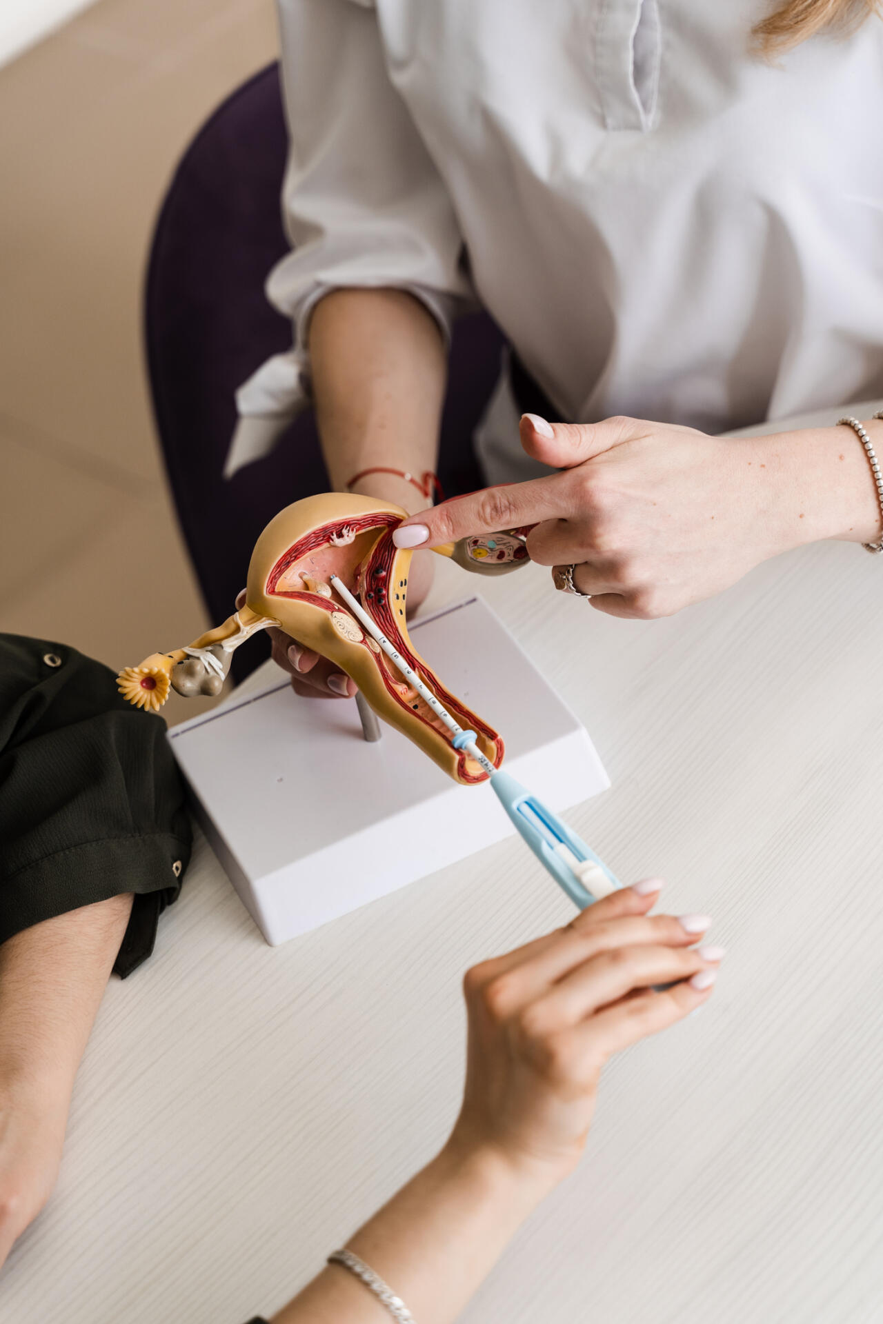 Close up of an IUD and Uterus model